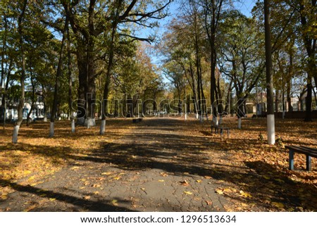 autumn park, foliage path