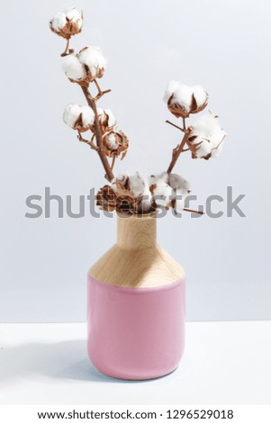Mock up dry cotton twigs in vase on book shelf or desk. Minimalistic concept.
