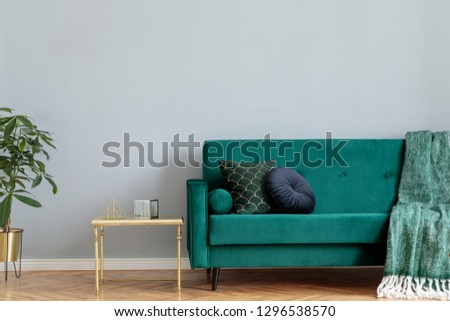 Stylish home interior with green velvet design sofa, tropical plant in metal stand and elegant color pillows and blanket. Copy space for inscription, mock up poster. Brown wooden parquet, grey walls.