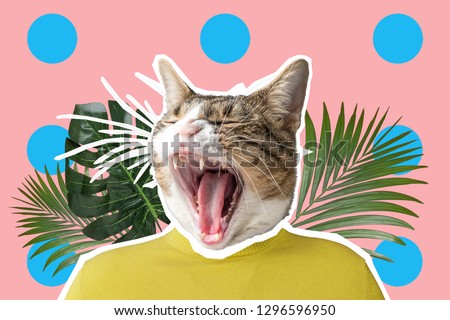 Cat and palm leaf collage, pop art concept design. Minimal vibrant summer background.