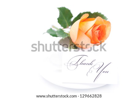 beautiful orange rose , card with the words thank you and cup isolated on white