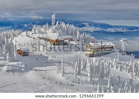Panoramic view over the ski slope Poiana Brasov ski resort in Transylvania, Pine forest covered in snow on winter season,Mountain landscape in winter