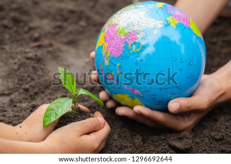 
Environment Earth Day In the hands of trees growing seedlings.  Female hand holding tree, reduce global warming, concept of love the world. 