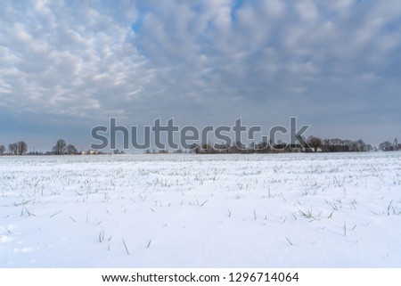 Empty Countryside Landscape in Sunny Winter Day with Snow Covering the Ground, Abstract Background with Deep Look and Dramatic Skies - Concept of Harmony, Peace and Traveling in Countryside