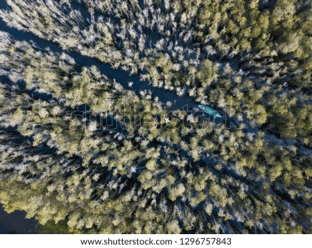 Aerial view of wooden boat at Melaleuca tree forest in Mekong Delta, Southern Vietnam. Taken by drone 