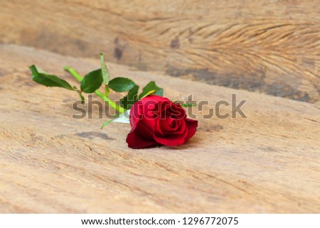 Red rose on wood textured background symbol of love  gift for Valentine day for couple with free space 