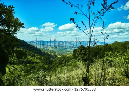 landscape of forest and mountains