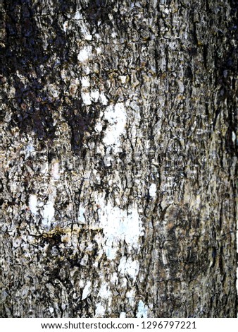 Bark White and Black Textures Blackgrounds