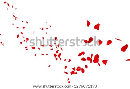 Red rose petals fly into the distance. Isolated white background Royalty-Free Stock Photo #1296891193