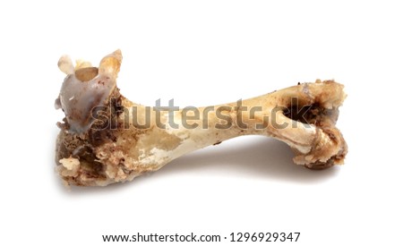 Set of pork bones isolated on white background– stock image