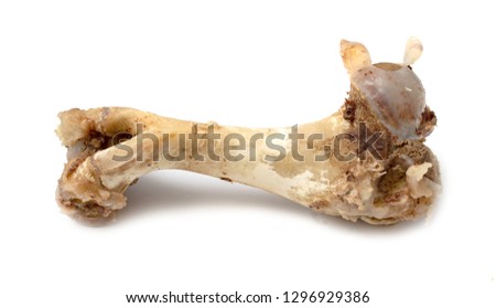 Set of pork bones isolated on white background– stock image
