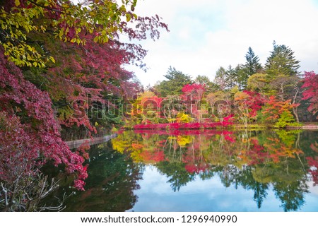 Autumn leaves of kumoba pond in Karuizawa,Japan