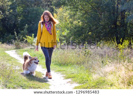 training - girl and dog corgi walking in the park
