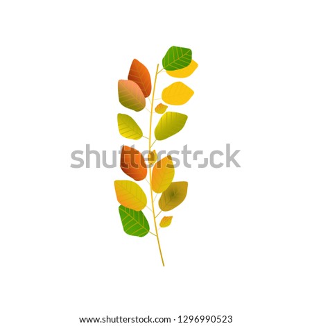 Autumn beech leaf useful, editable. And printable Perfect for use in a wide range of new media templates: can be used as greeting card, invitation card for wedding, birthday and other holiday & summer