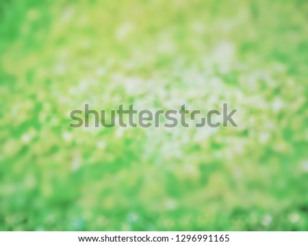 Green grass background, blurred photo.