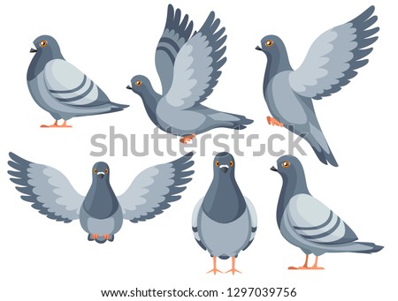 Colorful Icon set of Pigeon bird flying and sitting. Flat cartoon character design. Colorful bird icon. Cute pigeon template. Vector illustration isolated on white background. Royalty-Free Stock Photo #1297039756