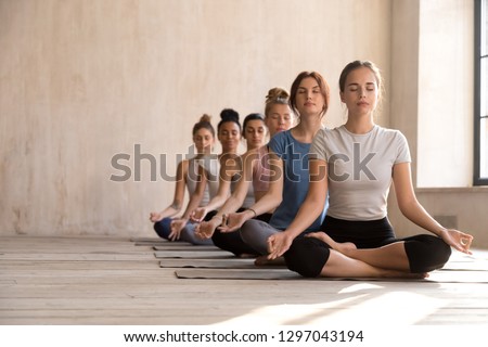 Fit diverse calm yogi sit in row meditating in lotus position in bright fitness studio, toned multiracial women practice yoga with eyes closed on rubber mats, keep mudra hands. Healthy life concept Royalty-Free Stock Photo #1297043194