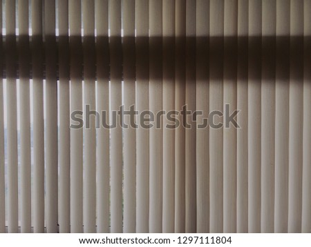 Curtain of window blind in the room
