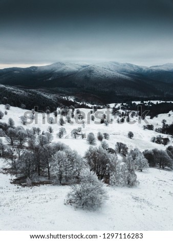 Winter aerial nature wallpaper,frozen trees and mountain peaks