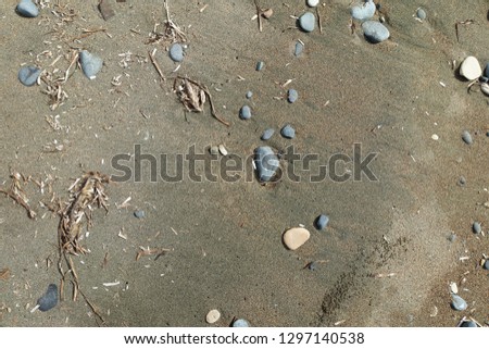              Ocean rocks, pebble and sand with algae. Background marine picture. Seaweed on beach. Gravel beach texture                                        