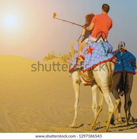 Tourist attractions sand desert sunrise safari camels using a selfie stick shot mobile phone, Tourists are taken on camel rides traditional Bedouin saddle.