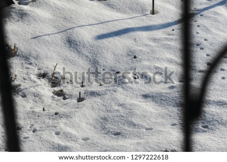 Cold and snow white background. Frosty Sunny day and cool. The view from the window. The texture of crisp snow on the ground. Small unknown traces in the yard of a house