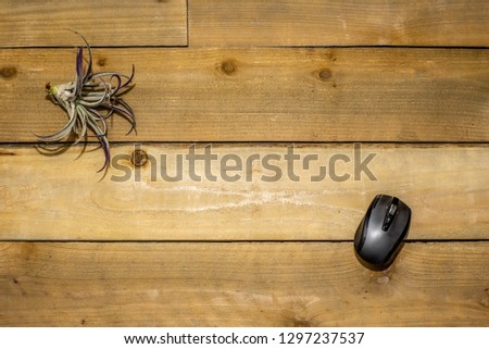 wireless mouse with an air plant on a blank wood background.