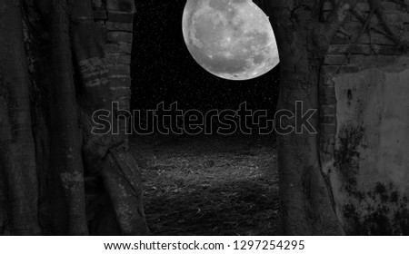On a beautiful full moon night(black and white picture)