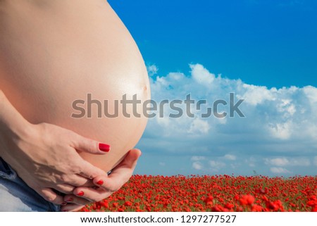 Belly of a pregnant girl close-up against the blue sky and a field of poppies. Copy space.