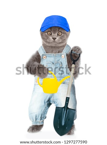 Kitten farmer in blue cap with a watering can and shovel. isolated on white background