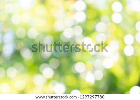 Green, yellow and white bokeh background. Green, yellow and white bokeh. Green, yellow and white bokeh abstract.