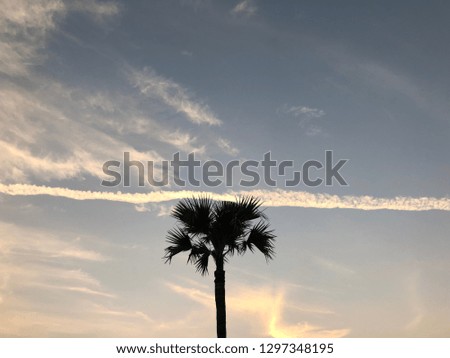fluffy Contrail clouds in blue evening sky
