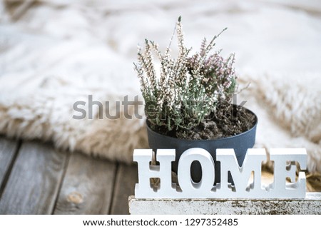 Cozy home composition on wooden background, home decor concept