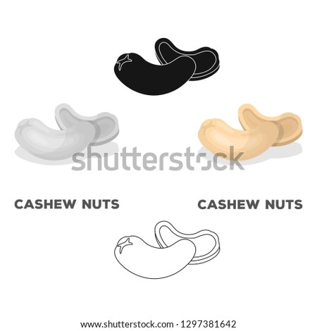 Cashew nuts.Different kinds of nuts single icon in cartoon style vector symbol stock illustration.