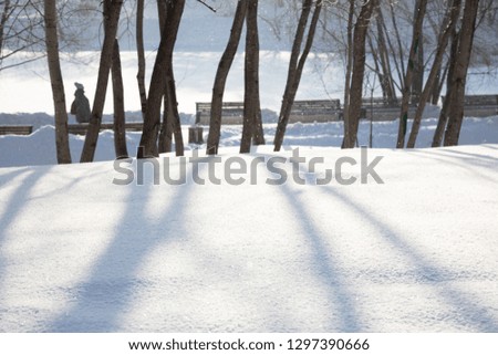winter background, tree shadows on smooth snow