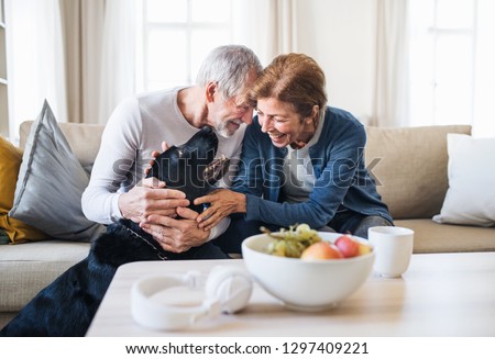 A happy senior couple sitting on a sofa indoors with a pet dog at home. Royalty-Free Stock Photo #1297409221