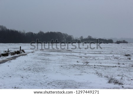 Dutch winter landscape with forest edge, white frozen gras and snow.