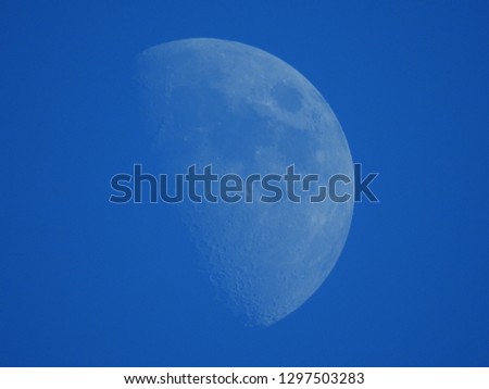 blue moon close up