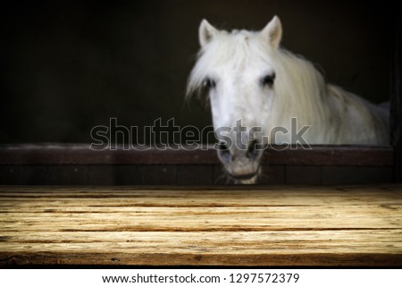 Desk of free space for your product and white horse. 