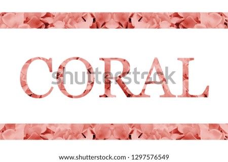 Text "CORAL" with flower coral decoration on white background. Trendy color of the Year 2019