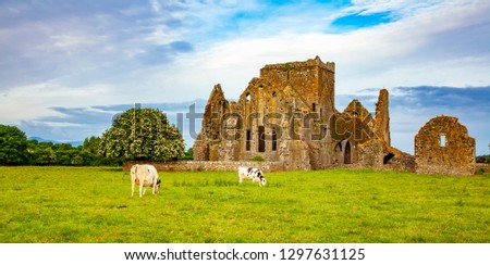 Hore Abbey ancient ruins photo, peaceful Irish landscape