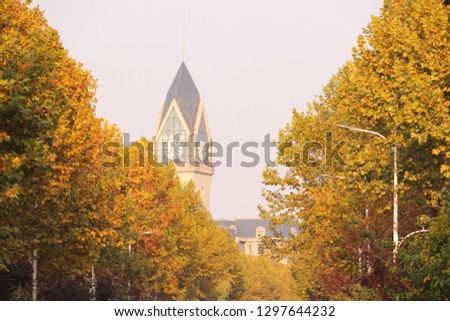 Autumn in university