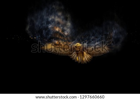 Flying bird. Bird of prey. Dispersion, splatter effect. Black background. 