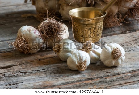 Fresh organic Garlics on wooden background with brass yellow Mortar and pestle garlic. alternative medicine, organic cleaner.