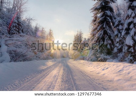 Winter road at sunset.  Leningrad region. Russia