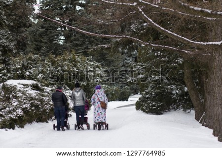 Walk in the winter, a path of asphalt, a photograph of people from the back. Silhouette of three people. Winter, the road to the distance. Park, rest. Happy young family walking. 