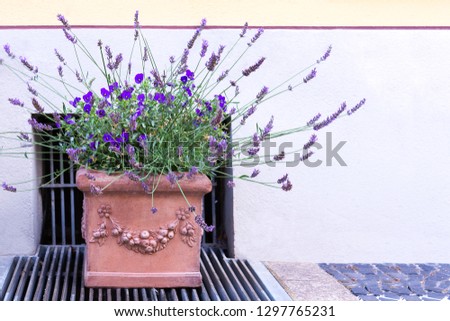 A ceramic pot with beautiful stucco with violets and lavender stands on the sidewalk.