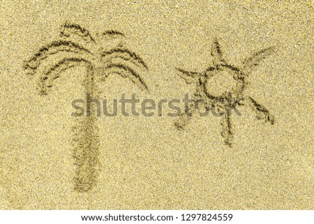 Palm tree and sun simple signs on bright sunny sea sand