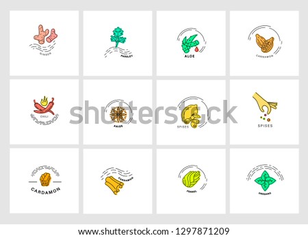 Vector icon and logo for spices and herbs. Editable outline stroke size. Line flat contour, thin and linear design. Simple icons. Concept illustration. Sign, symbol, element.