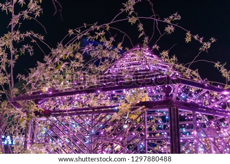 Christmas illumination, Tokyo Japan